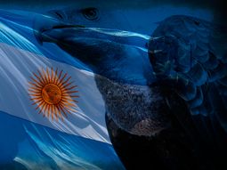 ¿cuales son los pasos que debe afrontar el proyecto de pago a los buitres? ¿cuales son los pasos que debe afrontar el proyecto de pago a los buitres?