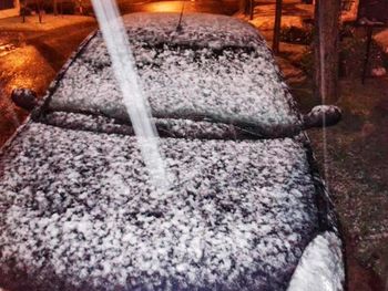 Las imágenes de la nieve en Mar del Plata y en otros lugares