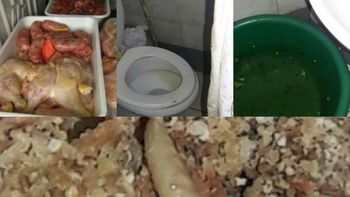 Gusanos en una cortadora de carne Gusanos en una cortadora de carne