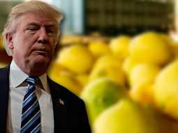 Extienden la suspensión a los limones argentinos por 30 días Extienden la suspensión a los limones argentinos por 30 días