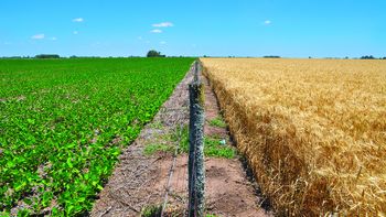 El agro dejó atrás el efecto de la sequía y será fundamental para la recuperación de las exportaciones en 2024. El agro dejó atrás el efecto de la sequía y será fundamental para la recuperación de las exportaciones en 2024.