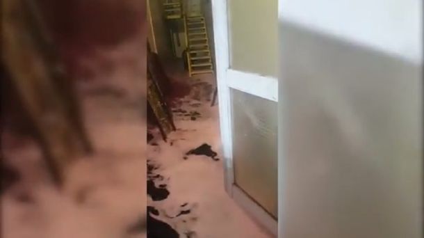 Otra vez el vino derramado para tristeza de los amantes de la vid