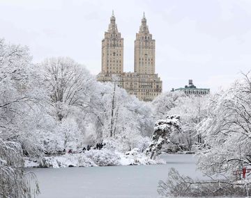 Nueva York entró en estado de alerta y se prepara para la tormenta de nieve más grande de su historia