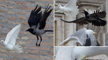 el fallido gesto de paz del papa francisco el fallido gesto de paz del papa francisco