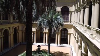 murio una de las palmeras del patio de la casa rosada murio una de las palmeras del patio de la casa rosada