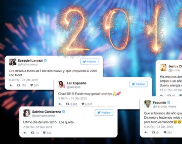 Los famosos despidieron el 2015 en las redes sociales