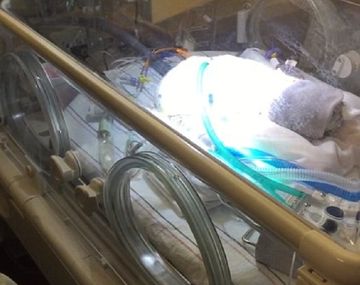 Le canta canción de los Beatles a su hijo prematuro antes de morir