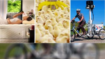 estos son los trabajos mas divertidos del mundo estos son los trabajos mas divertidos del mundo