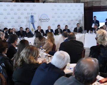 El Senado retoma el tratamiento en comisiones de la Ley Bases y el paquete fiscal