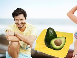 la china y vicuna se rieron de la manta de nepal y la palta: ¡que huecada! la china y vicuna se rieron de la manta de nepal y la palta: ¡que huecada!