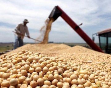 El Gobierno simplificará el régimen para liquidación de exportaciones de soja