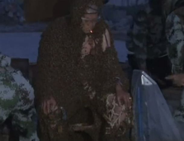 Soportó más de un millón de abejas en su cuerpo y batió un récord mundial