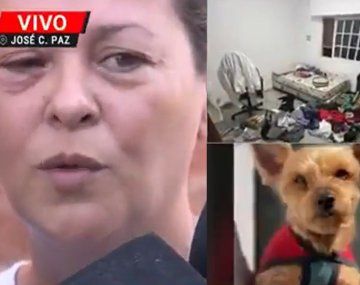 Violento robo en José C. Paz: golpearon a una mujer y se llevaron a su perro