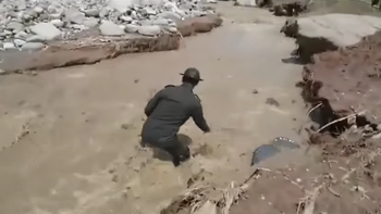 asi rescataron a un perro de un rio correntoso asi rescataron a un perro de un rio correntoso