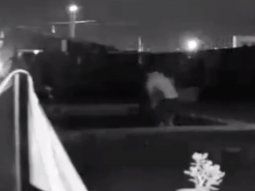 Se infiltró en el patio de una casa para tirarse en la pileta