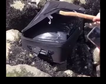 Paseaban por la playa y encontraron una valija con un restos humanos