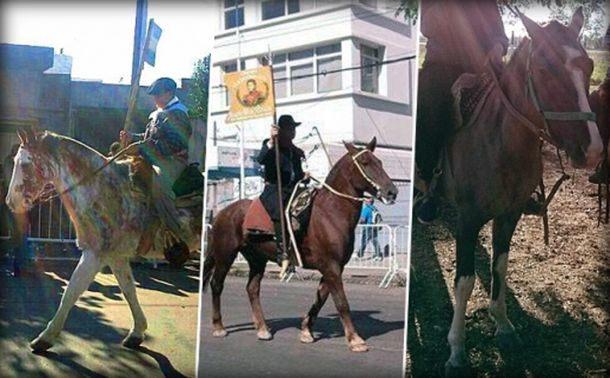 Gentileza portal N3F.