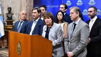 El Senado prorrogó el programa nacional de entrega voluntaria de armas hasta diciembre de 2027. Foto: NA. El Senado prorrogó el programa nacional de entrega voluntaria de armas hasta diciembre de 2027. Foto: NA.