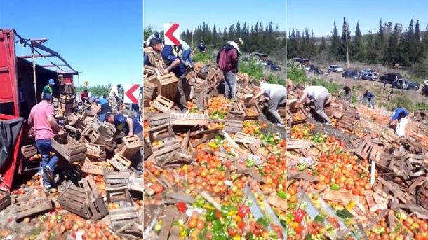 VIDEO: Volcó un camión en Ruta 6 con verduras y lo saquearon los vecinos