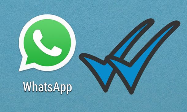 Alivio: WhatsApp habilitó la opción para desactivar el doble tilde azul
