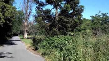 Lomas de Zamora: violaron a una mujer en la reserva Santa Catalina Lomas de Zamora: violaron a una mujer en la reserva Santa Catalina