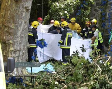 Cayó un árbol durante una misa y mató a 13 personas - Crédito: okdiario.com