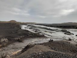 Las reservas de agua de Paso Severino continúan bajando. Las reservas de agua de Paso Severino continúan bajando.