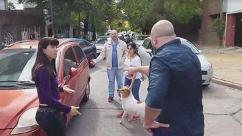 Los vecinos acusan a la dueña de la perra de intentar abandonarla Los vecinos acusan a la dueña de la perra de intentar abandonarla