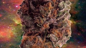 los memes de morgan freeman tras sus dichos sobre la marihuana los memes de morgan freeman tras sus dichos sobre la marihuana