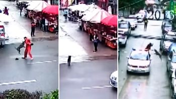 video: un perro furioso ataco a 23 personas en un centro comercial chino video: un perro furioso ataco a 23 personas en un centro comercial chino