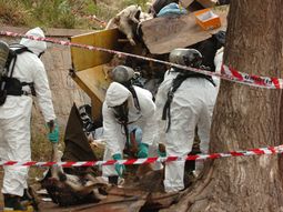 se devela el misterio por la masiva matanza de animales se devela el misterio por la masiva matanza de animales