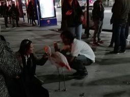 Un flamenco rosado se escapó del Zoo porteño