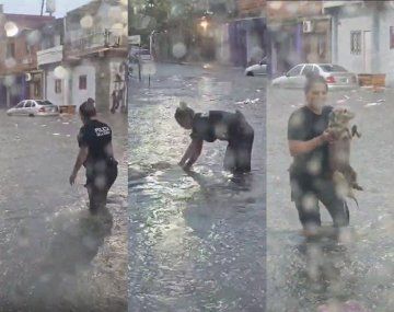 Temporal en la Ciudad: el tierno video de un policía salvando a un perro