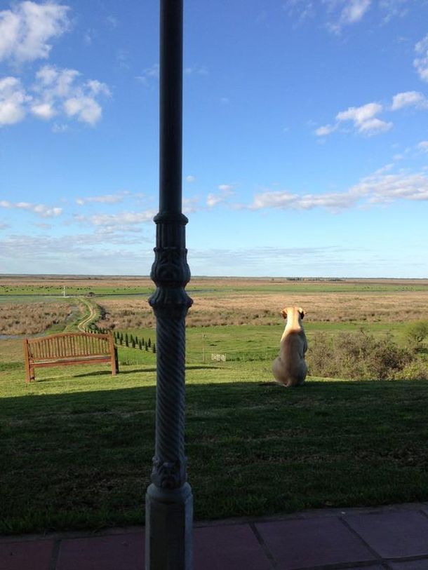 El sugestivo mensaje de la ex de Jorge Rial para sus hijas