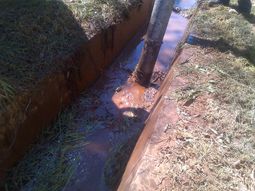 Clausuran el Lawn Tennis de Palermo