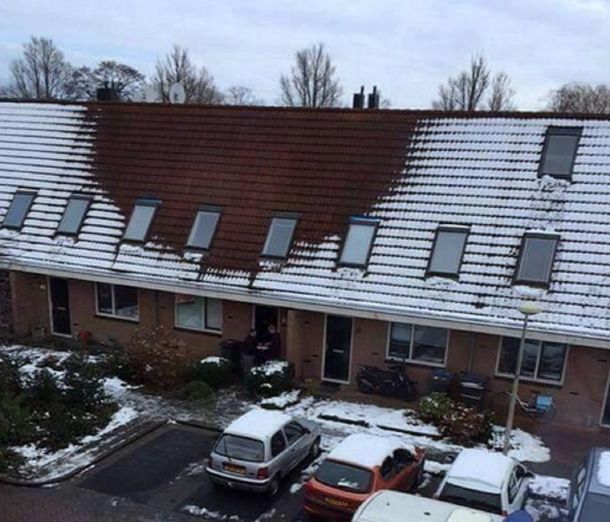 Gracias a la nieve, la policía descubrió una plantación de marihuana