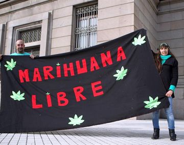 Falta determinar si argentinos podrán comprar marihuana
