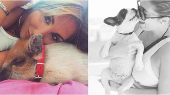 ayelen paleo adopto a una chanchita vietnamita como mascota ayelen paleo adopto a una chanchita vietnamita como mascota