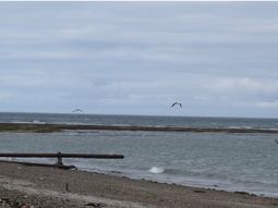 reto a su amigo a nadar en el mar y murio ahogado reto a su amigo a nadar en el mar y murio ahogado
