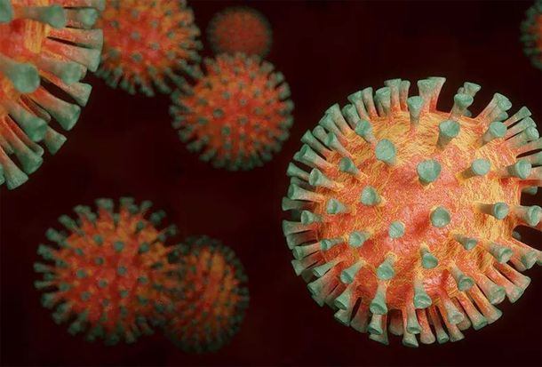 ¿Nueva pandemia a la vista? Qué es el virus B que ahora preocupa al mundo