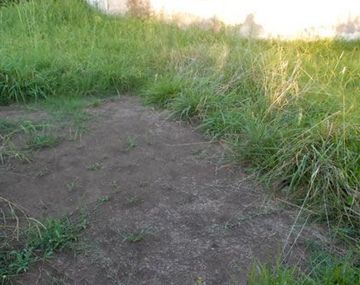 Sin códigos: en el fin de semana más caluroso les robaron la pelopincho