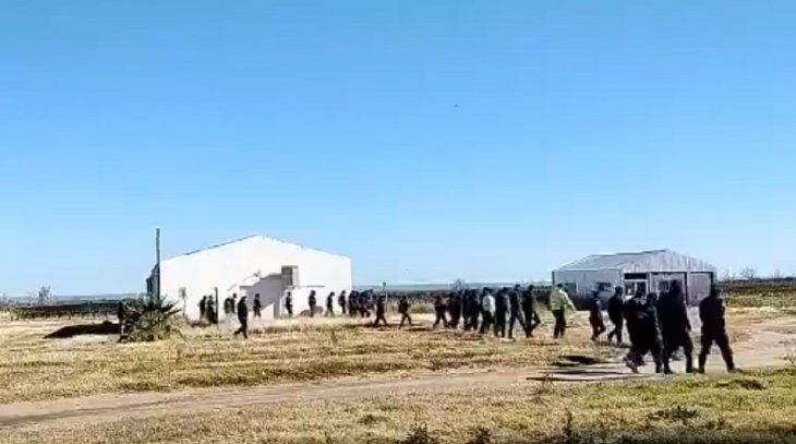 Buscan a Guadalupe Lucero: rastrillaje de urgencia en un predio de 500 hectáreas