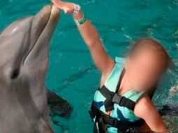 Delfines atacaron a una nena de 10 años durante un show acuático en Cancún