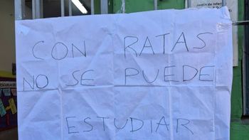 Denuncian la aparición de ratas en una escuela de Mataderos