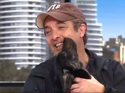 El emotivo mensaje con el que Ricardo Darín despidió a su perro