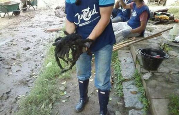 Foto: Crónica&nbsp;