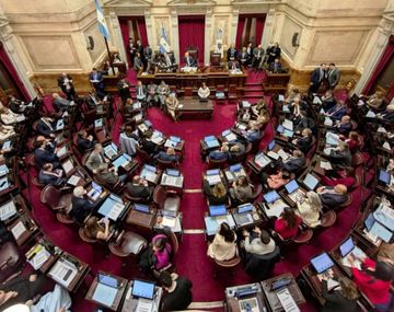 Media sanción en el Senado al proyecto de ley que limita los DNU presidenciales