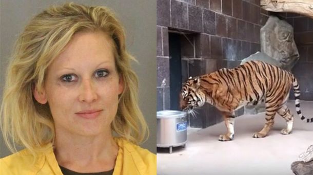 Una mujer se metió borracha en el hábitat de un tigre y quiso acariciarlo