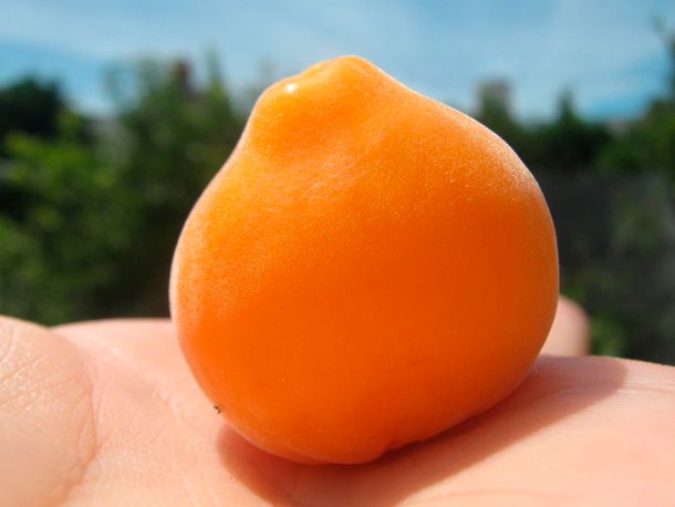 Las frutas que no vas a encontrar en la verdulería del barrio