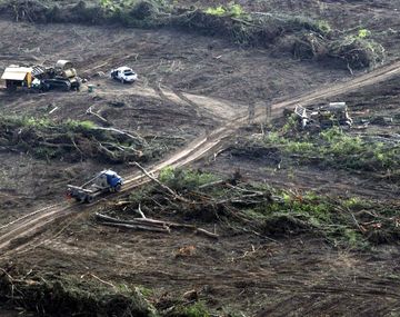 Vista aérea del desmonte de la reserva de biósfera de las yungas donde se observan topadoras realizando el trabajo.